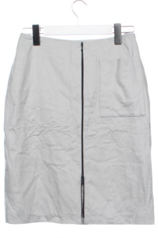 Rock Madeleine, Größe XS, Farbe Grau, Preis € 15,99