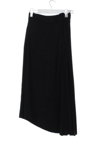 Пола Pinko, Размер XXS, Цвят Черен, Цена 46,52 €