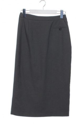 Φούστα Sarah Pacini, Μέγεθος XS, Χρώμα Γκρί, Τιμή 45,50 €