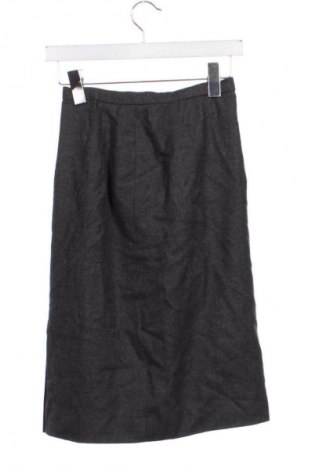 Φούστα Unbranded, Μέγεθος XXS, Χρώμα Γκρί, Τιμή 18,46 €