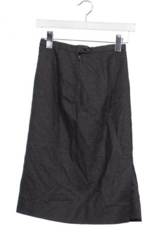 Φούστα Unbranded, Μέγεθος XXS, Χρώμα Γκρί, Τιμή 18,46 €
