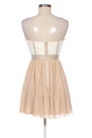 Kleid ASOS, Größe M, Farbe Mehrfarbig, Preis 24,55 €