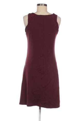 Kleid Anna Field, Größe L, Farbe Lila, Preis 19,95 €