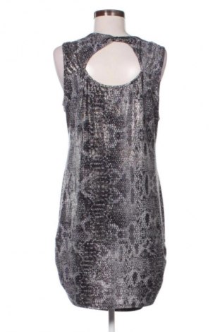 Sukienka Debenhams, Rozmiar XL, Kolor Kolorowy, Cena 90,00 zł