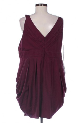 Kleid Debenhams, Größe XL, Farbe Rot, Preis € 19,95