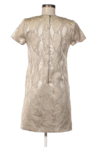 Kleid French Connection, Größe S, Farbe Mehrfarbig, Preis € 9,99