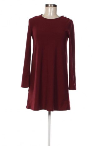 Kleid Mango, Größe XS, Farbe Rot, Preis 10,99 €