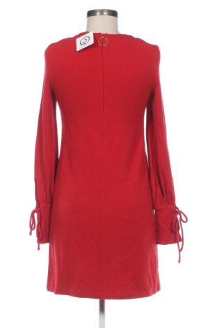 Kleid Mango, Größe XS, Farbe Rot, Preis 17,36 €