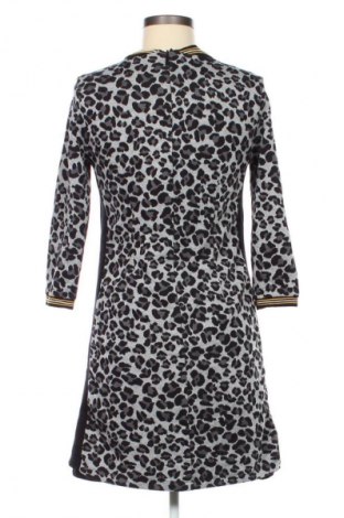 Φόρεμα More & More, Μέγεθος M, Χρώμα Πολύχρωμο, Τιμή 22,99 €