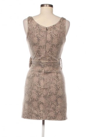 Kleid Nikkie, Größe XS, Farbe Mehrfarbig, Preis 20,99 €