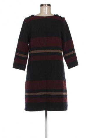 Kleid Phase Eight, Größe M, Farbe Mehrfarbig, Preis € 22,99