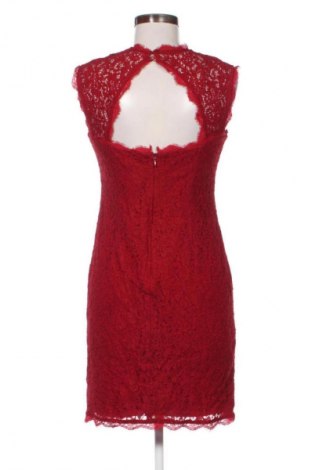 Kleid Adrianna Papell, Größe M, Farbe Rot, Preis € 41,94
