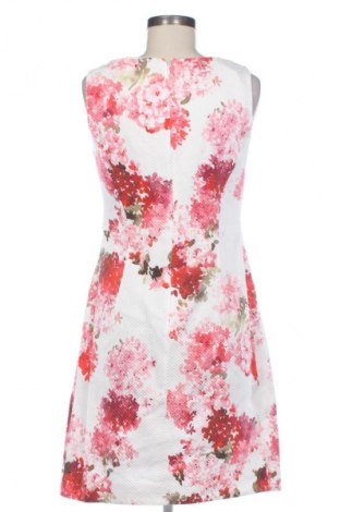 Šaty  Unbranded, Veľkosť XL, Farba Viacfarebná, Cena  20,02 €