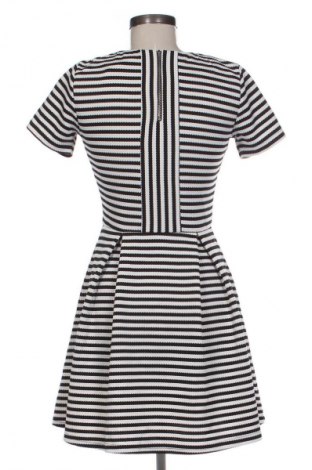 Kleid Warehouse, Größe S, Farbe Mehrfarbig, Preis € 17,99