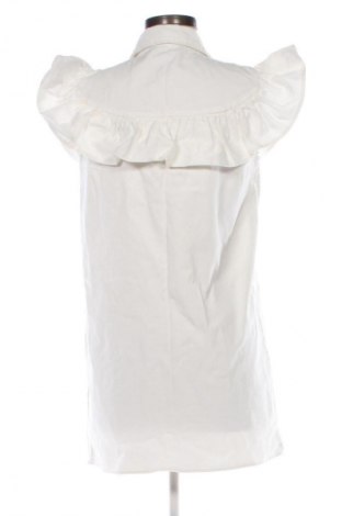 Kleid Zara, Größe L, Farbe Weiß, Preis 17,30 €