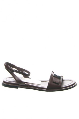 Sandále Calvin Klein, Veľkosť 39, Farba Hnedá, Cena  124,95 €