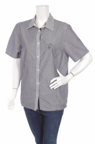 Γυναικείο πουκάμισο, Μέγεθος L, Χρώμα Γκρί, Τιμή 9,28 €