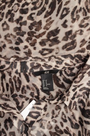 Γυναικείο πουκάμισο H&M, Μέγεθος L, Χρώμα Καφέ, Τιμή 9,90 €