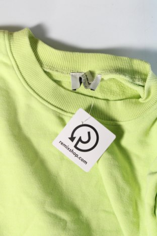 Damen Shirt Pull&Bear, Größe L, Farbe Grün, Preis € 6,99