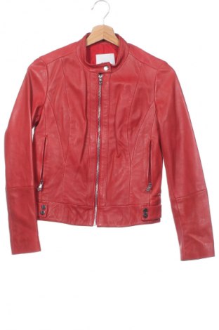 Damen Lederjacke Mango, Größe XS, Farbe Rot, Preis 41,91 €