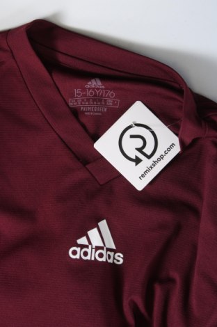 Παιδική μπλούζα Adidas, Μέγεθος 15-18y/ 170-176 εκ., Χρώμα Κόκκινο, Τιμή 8,99 €