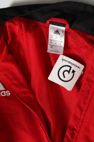 Pánska bunda  Adidas, Veľkosť M, Farba Červená, Cena  80,00 €