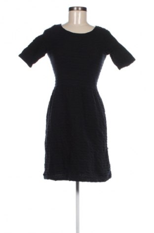 Kleid Dorothy Perkins, Größe M, Farbe Schwarz, Preis € 11,49