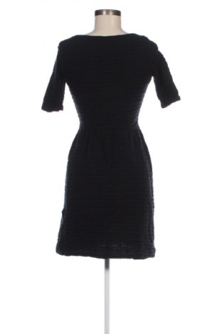 Kleid Dorothy Perkins, Größe M, Farbe Schwarz, Preis € 9,99